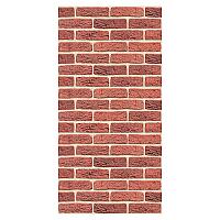 Плита фиброцементная  ASTONIT ДЕКОР (1200х600х9) Кирпичный №1005 Вертикаль